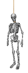 skeleto