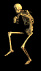 skeleto